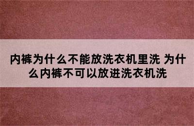 内裤为什么不能放洗衣机里洗 为什么内裤不可以放进洗衣机洗